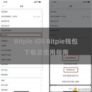 Bitpie iOS Bitpie钱包下载及使用指南