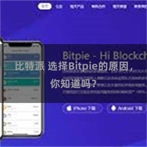 比特派 选择Bitpie的原因，你知道吗？