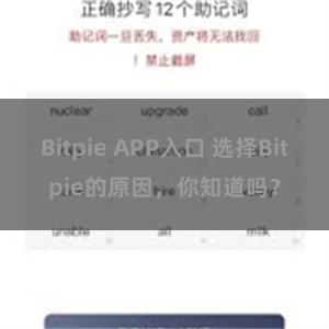 Bitpie APP入口 选择Bitpie的原因，你知道吗？