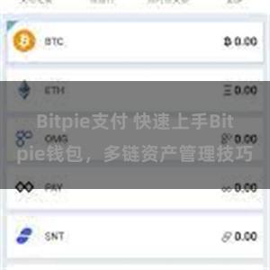 Bitpie支付 快速上手Bitpie钱包，多链资产管理技巧