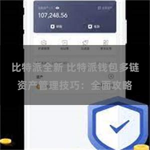 比特派全新 比特派钱包多链资产管理技巧：全面攻略