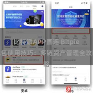 比特派APP直连 Bitpie钱包使用技巧：多链资产管理全攻略