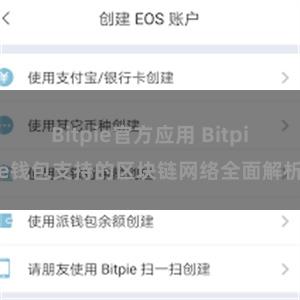 Bitpie官方应用 Bitpie钱包支持的区块链网络全面解析