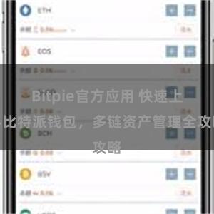 Bitpie官方应用 快速上手比特派钱包，多链资产管理全攻略
