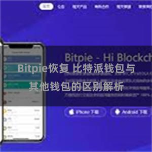 Bitpie恢复 比特派钱包与其他钱包的区别解析