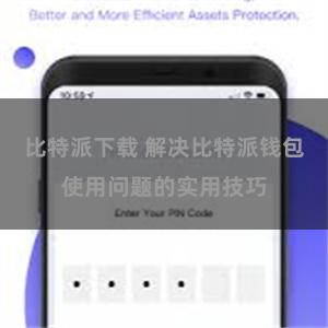 比特派下载 解决比特派钱包使用问题的实用技巧
