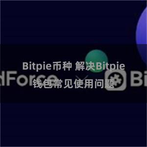 Bitpie币种 解决Bitpie钱包常见使用问题