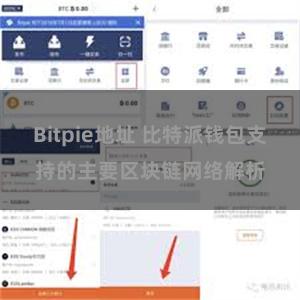 Bitpie地址 比特派钱包支持的主要区块链网络解析