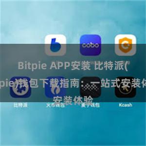 Bitpie APP安装 比特派(Bitpie)钱包下载指南：一站式安装体验