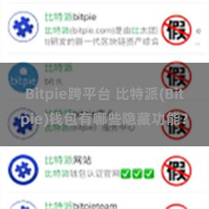 Bitpie跨平台 比特派(Bitpie)钱包有哪些隐藏功能？