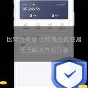 比特派恢复 比特派钱包交易延迟解决方案分享