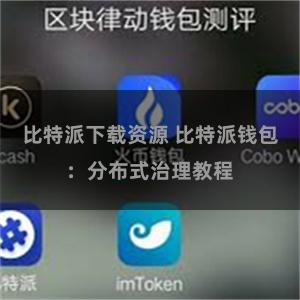 比特派下载资源 比特派钱包：分布式治理教程
