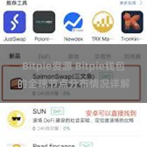 Bitpie资源 Bitpie钱包的全球节点分布情况详解