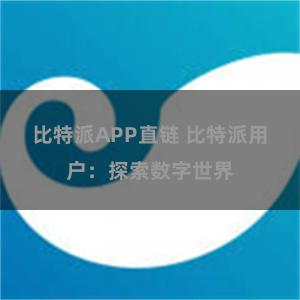 比特派APP直链 比特派用户：探索数字世界