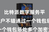 比特派数字服务平台  用户不错通过一个钱包惩处多个加密货币