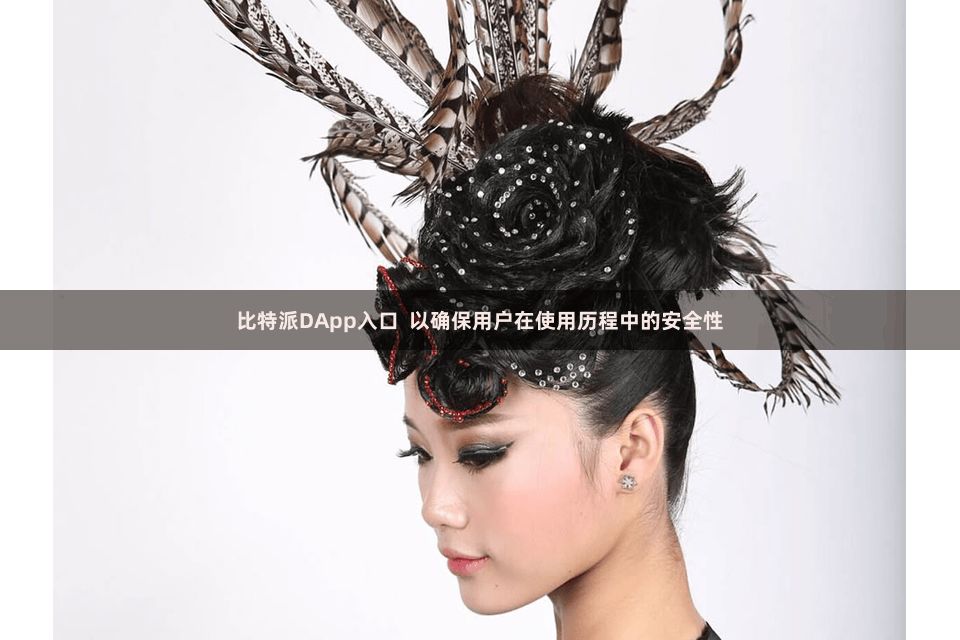 比特派DApp入口  以确保用户在使用历程中的安全性