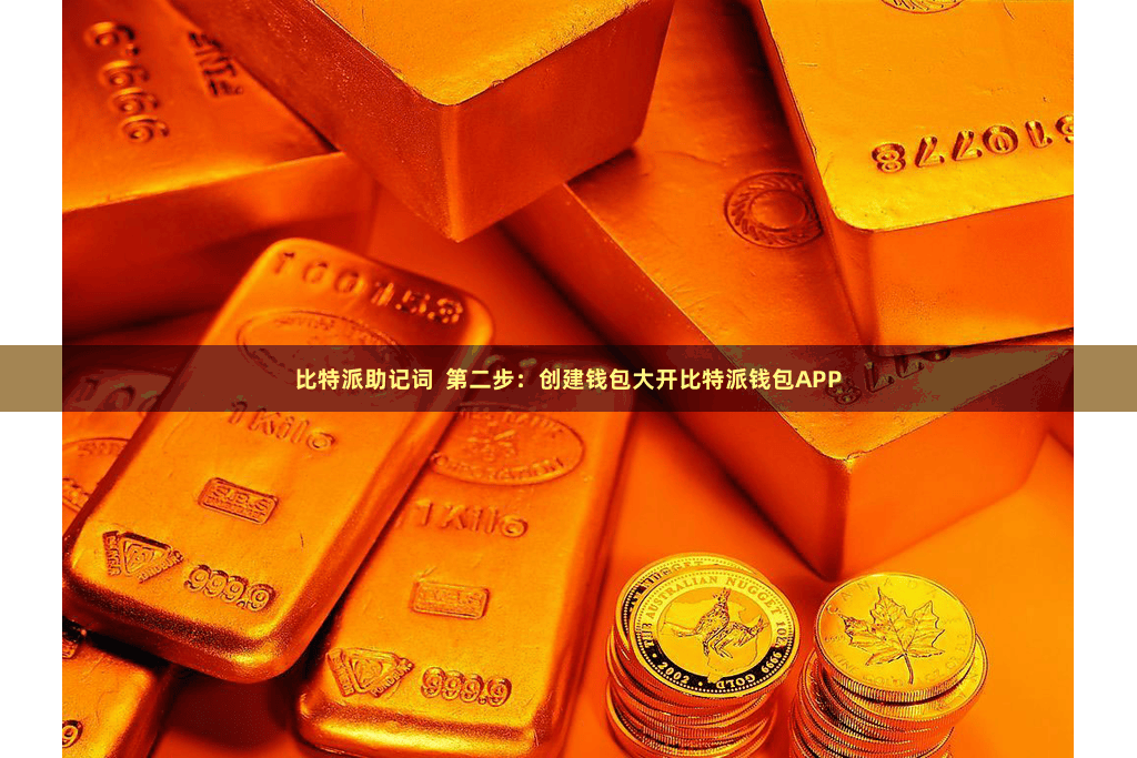 比特派助记词  第二步：创建钱包大开比特派钱包APP