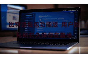 比特派钱包功能版  用户的私钥长久保存在腹地